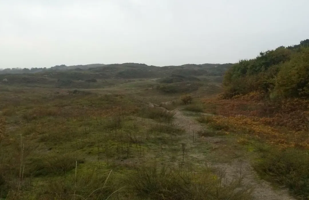 B&B Noordwijk Binnen-1